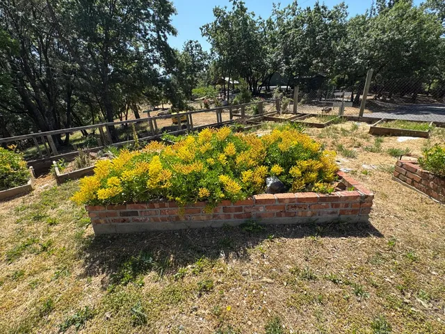 $395,000 | 14764 Tanyard Hill Road, Pine Grove, CA 95665