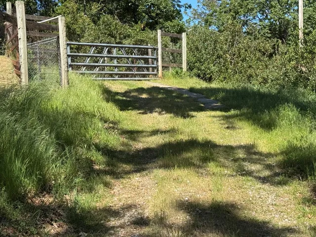 $395,000 | 14764 Tanyard Hill Road, Pine Grove, CA 95665