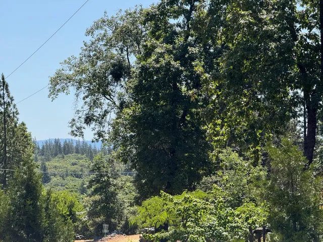 $395,000 | 14764 Tanyard Hill Road, Pine Grove, CA 95665