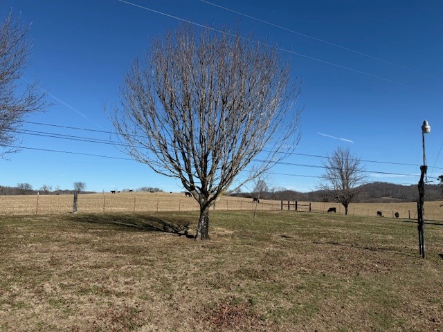 245 Cortner Mill Road Normandy, TN 37360 - Photo 32 of 40 a view of a yard