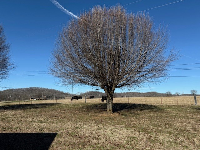 245 Cortner Mill Road Normandy, TN 37360 - Photo 5 of 40 a view of a backyard with large trees