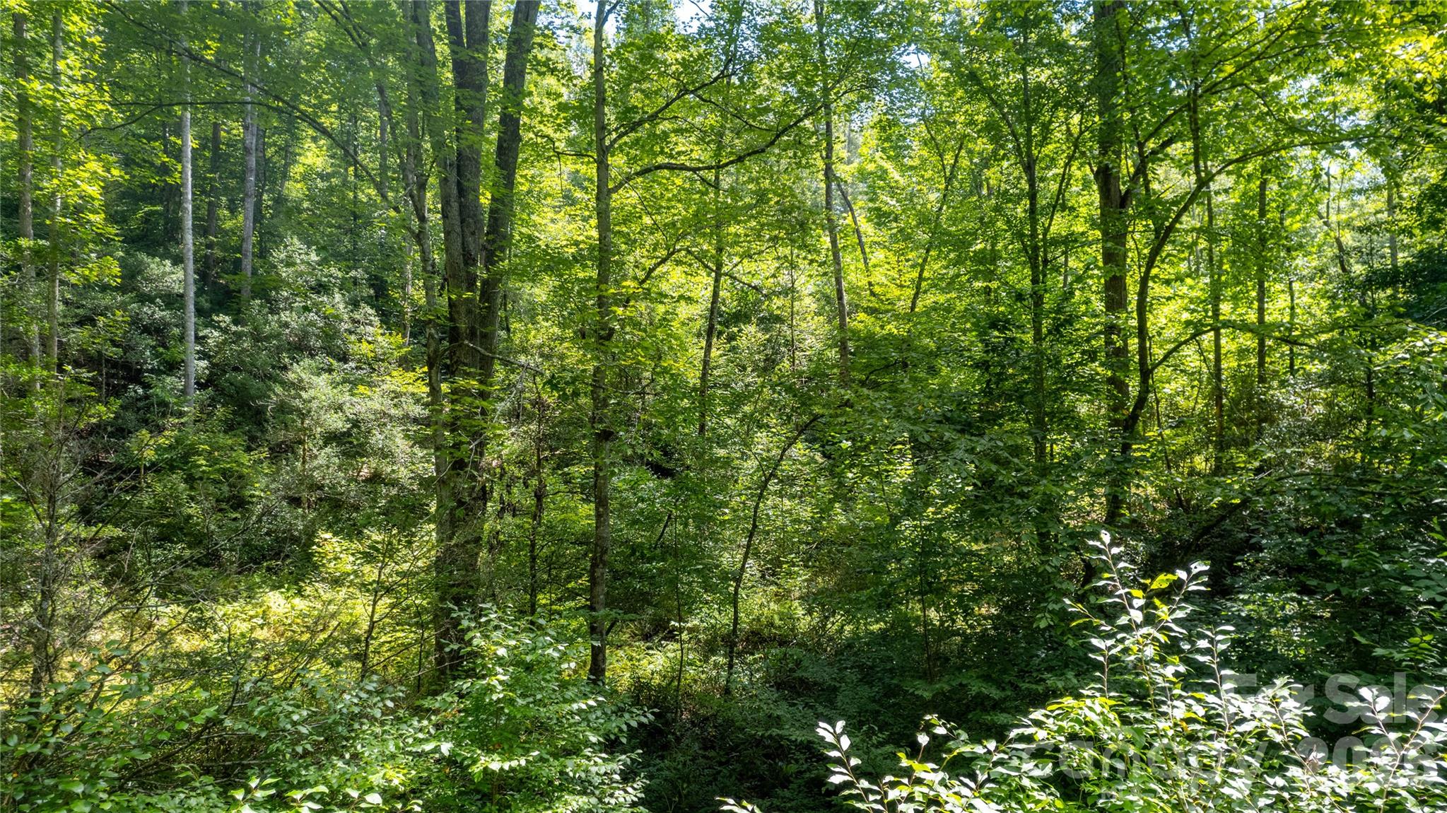 Tbd Tbd Collettsville Road, Unit 7 Collettsville, NC 28611 - Photo 15 of 34