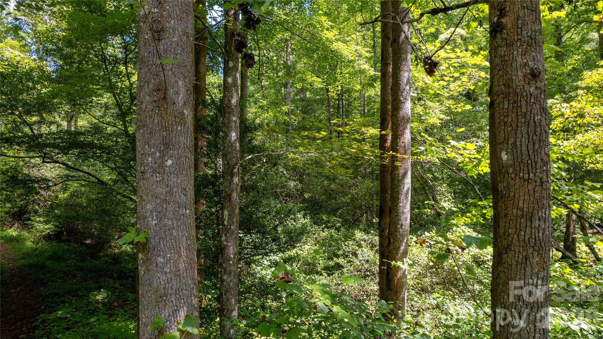Tbd Tbd Collettsville Road, Unit 7 Collettsville, NC 28611 - Photo 4 of 34