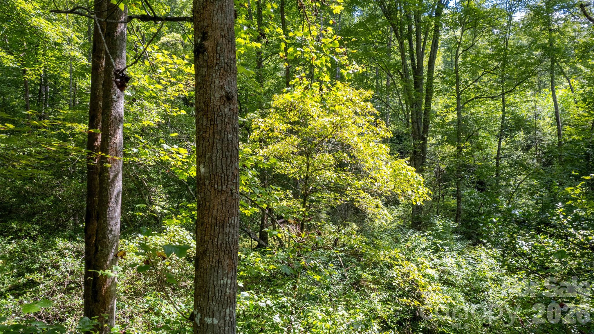 Tbd Tbd Collettsville Road, Unit 7 Collettsville, NC 28611 - Photo 7 of 34