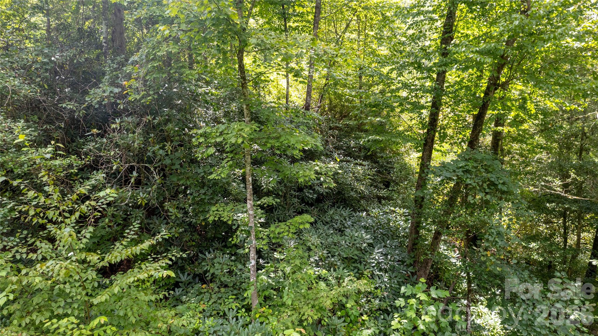 Tbd Tbd Collettsville Road, Unit 7 Collettsville, NC 28611 - Photo 8 of 34