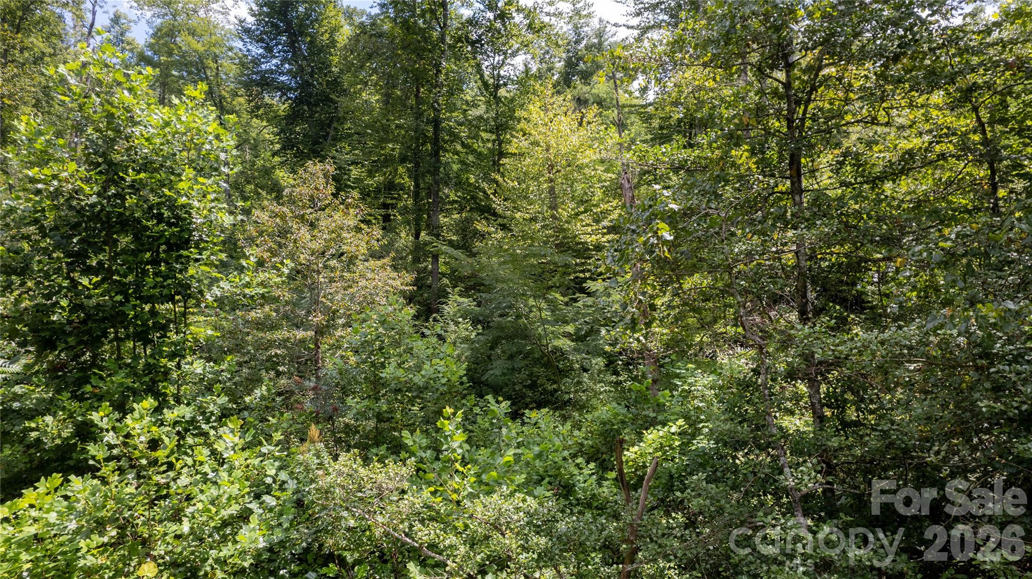 Tbd Tbd Collettsville Road, Unit 7 Collettsville, NC 28611 - Photo 9 of 34