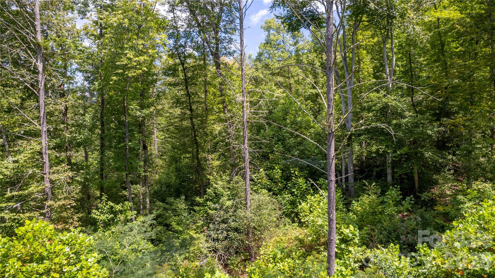 Tbd Tbd Collettsville Road, Unit 7 Collettsville, NC 28611 - Photo 10 of 34