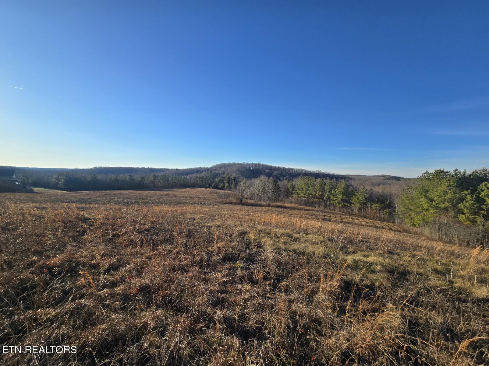 Lot 4 Honey Creek Road Allardt, TN 38504 - Photo 11 of 21 20251230_162041