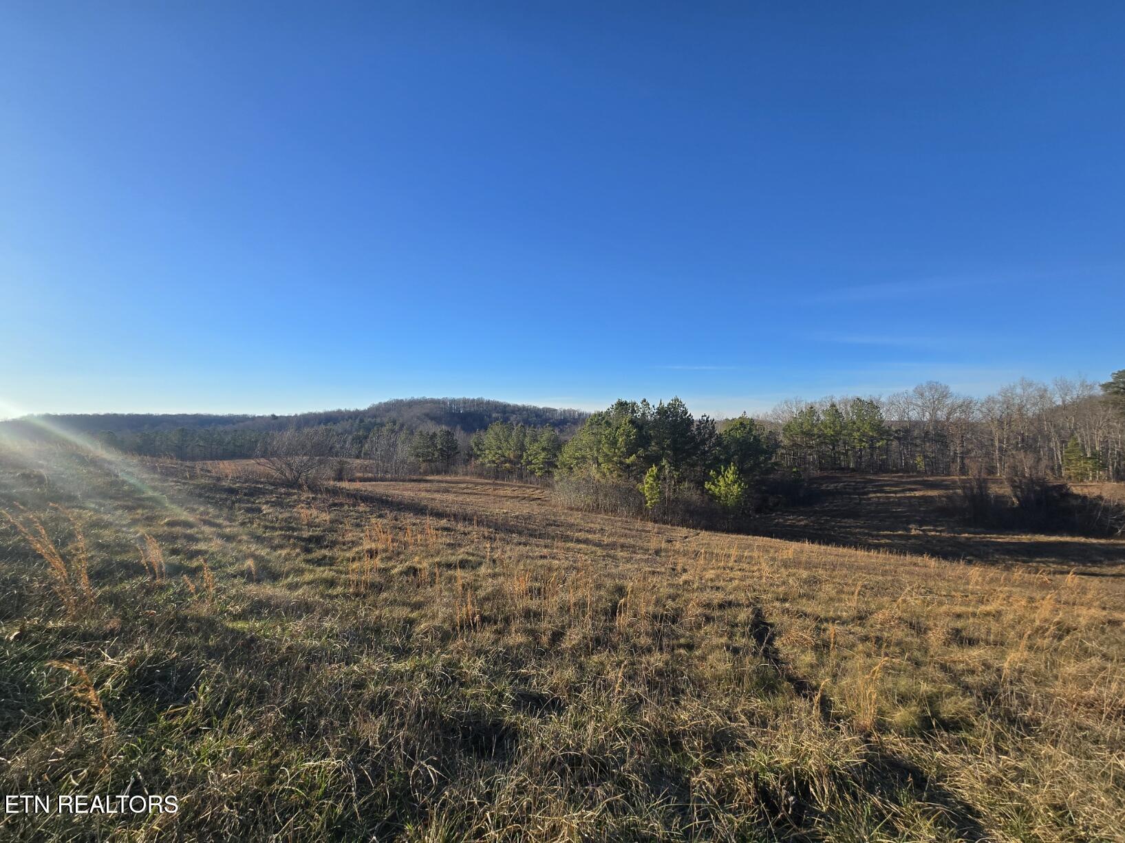 Lot 4 Honey Creek Road Allardt, TN 38504 - Photo 8 of 21 20251230_161946