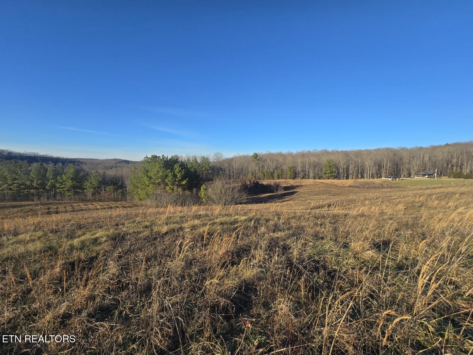 Lot 4 Honey Creek Road Allardt, TN 38504 - Photo 10 of 21 20251230_162029