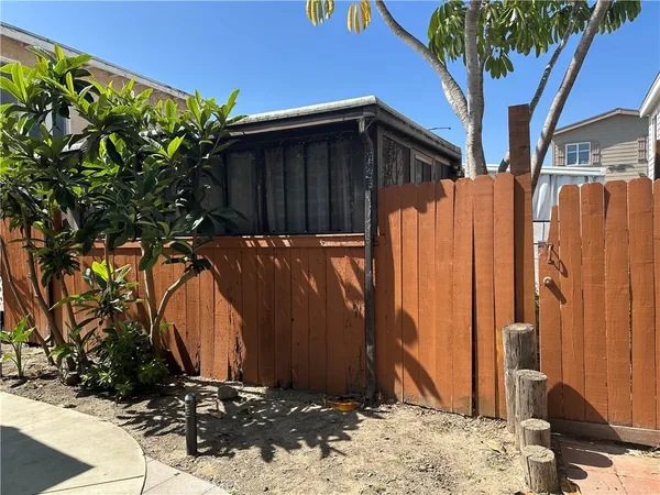 a view of a backyard with a tree