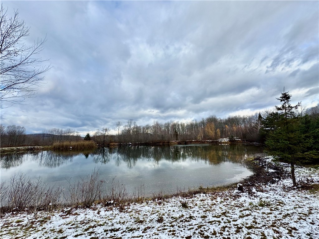 175 Hovick Road Burlington, NY 13315 - Photo 11 of 50