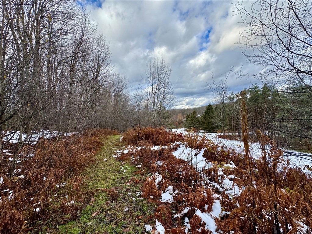 175 Hovick Road Burlington, NY 13315 - Photo 25 of 50