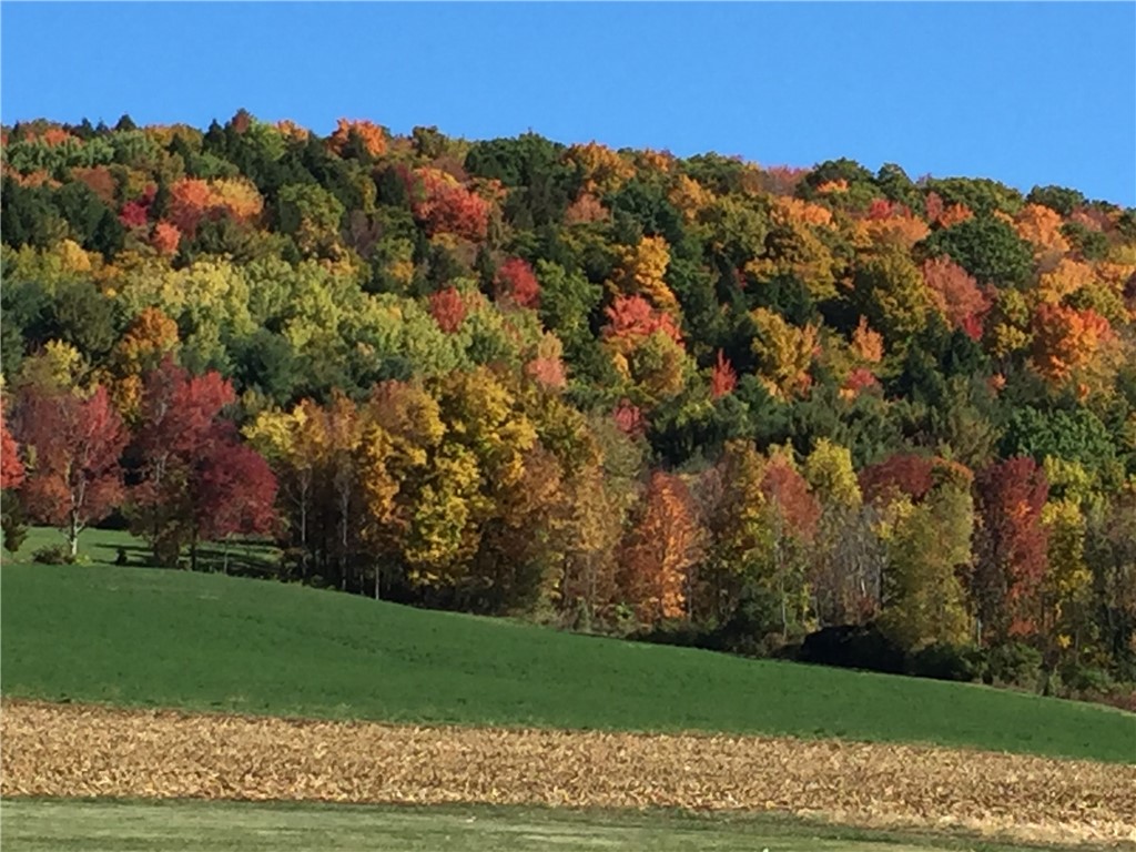 175 Hovick Road Burlington, NY 13315 - Photo 49 of 50