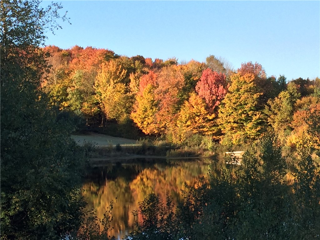 175 Hovick Road Burlington, NY 13315 - Photo 50 of 50