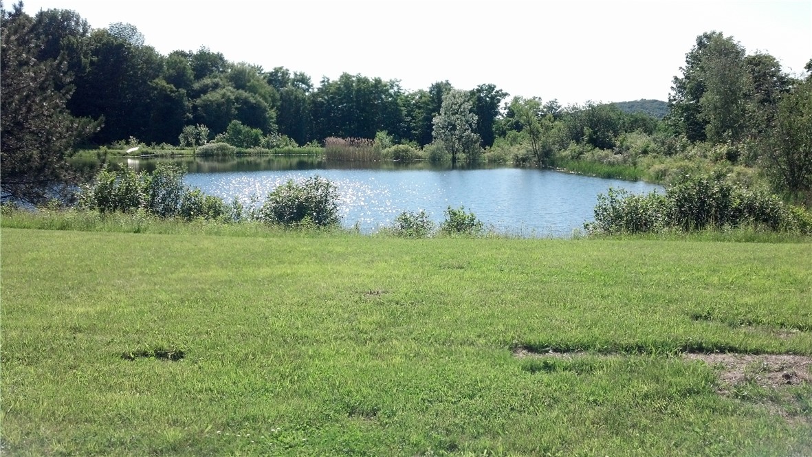 175 Hovick Road Burlington, NY 13315 - Photo 10 of 50