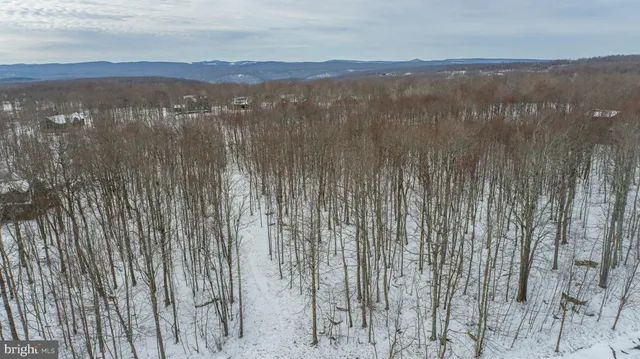 a view of a backyard with large trees