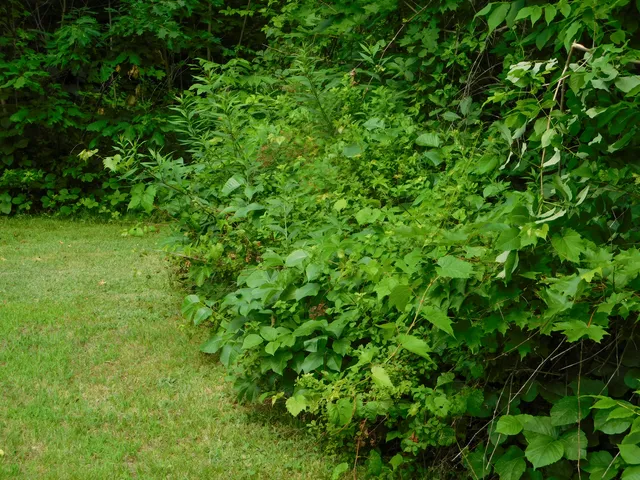 $262,000 | 170 Main Street, Sangerville, ME 04479