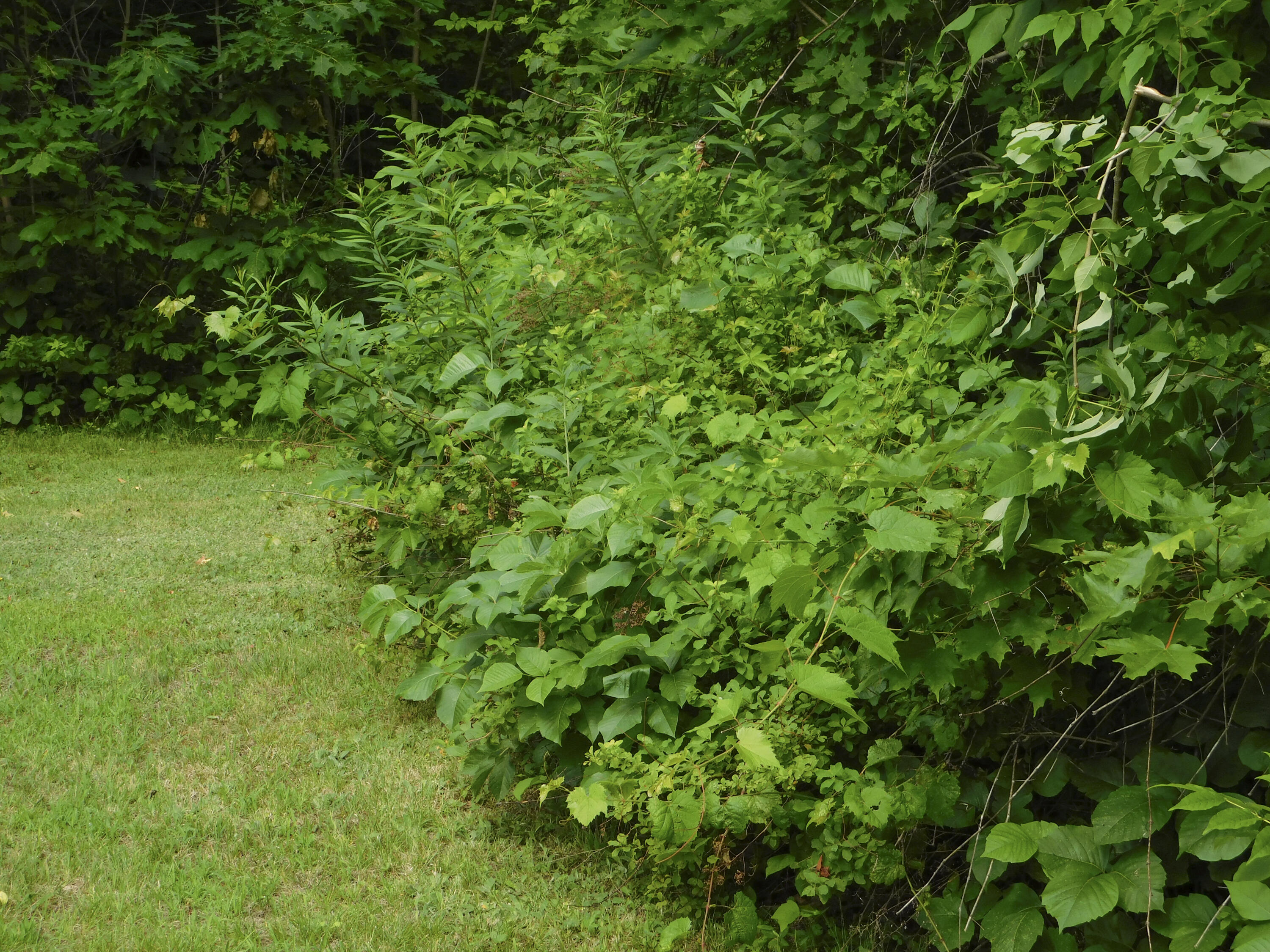 170 Main Street Sangerville, ME 04479 - Photo 18 of 97 13