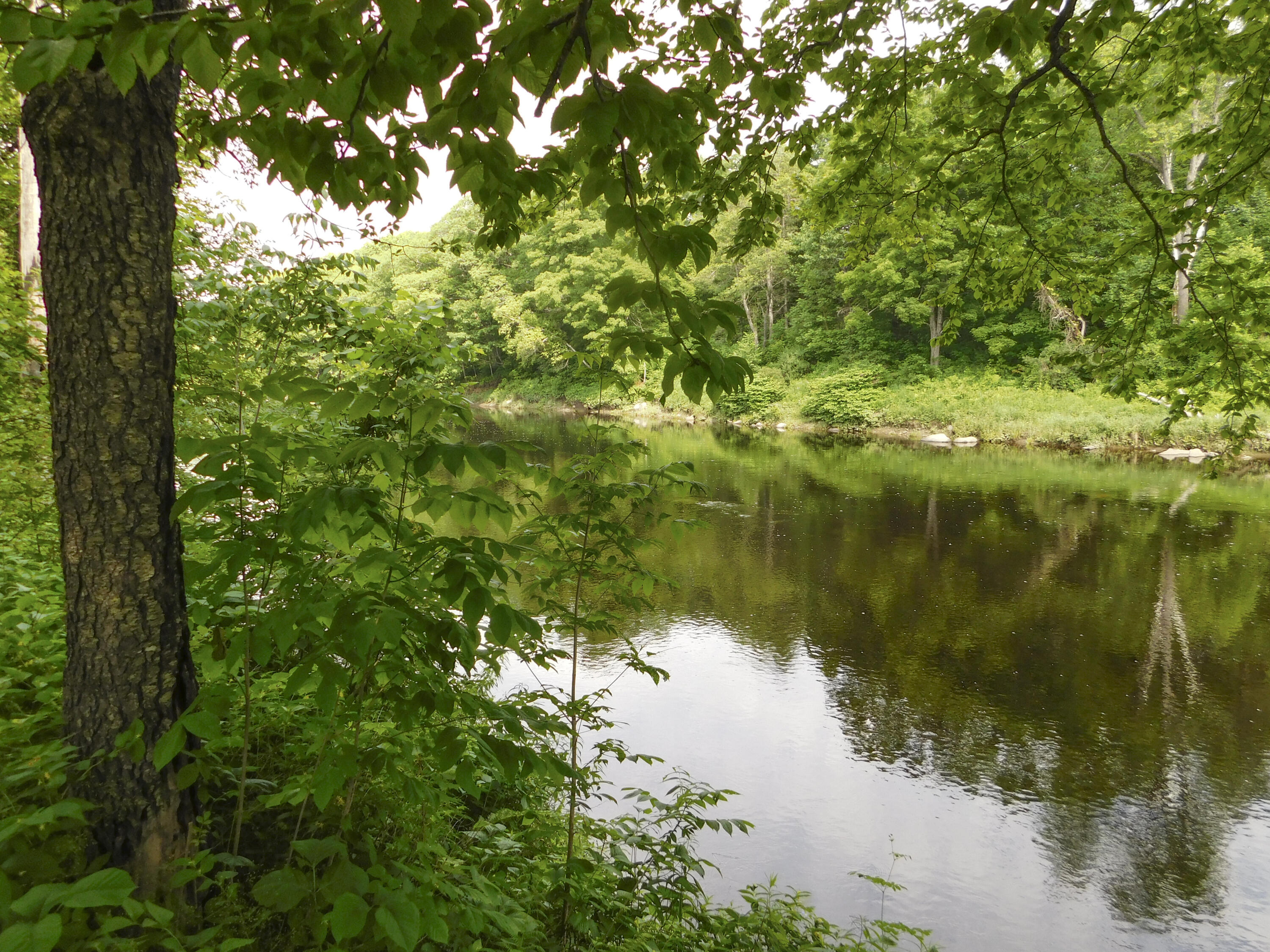 170 Main Street Sangerville, ME 04479 - Photo 19 of 97 17