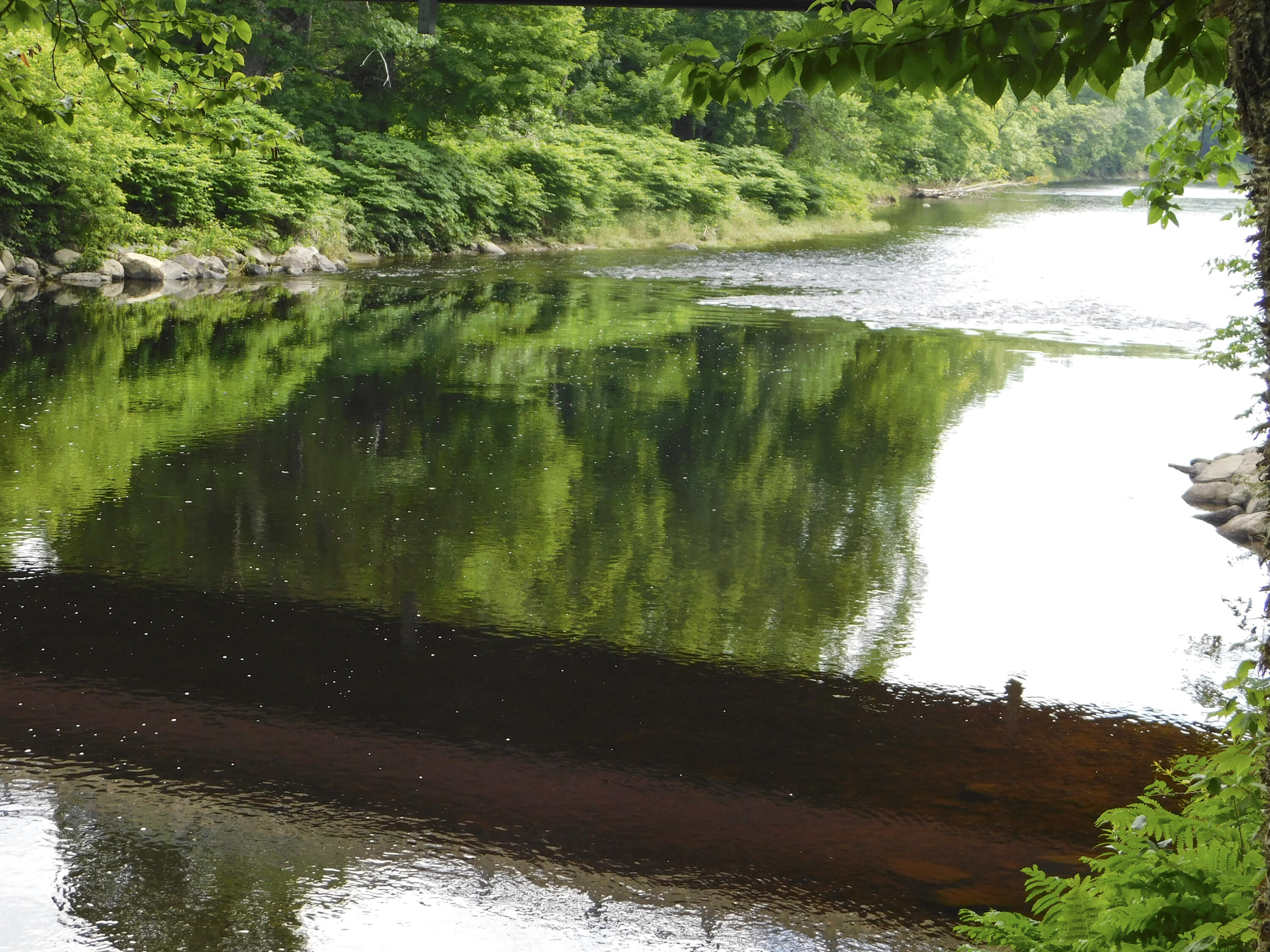 170 Main Street Sangerville, ME 04479 - Photo 20 of 97 15