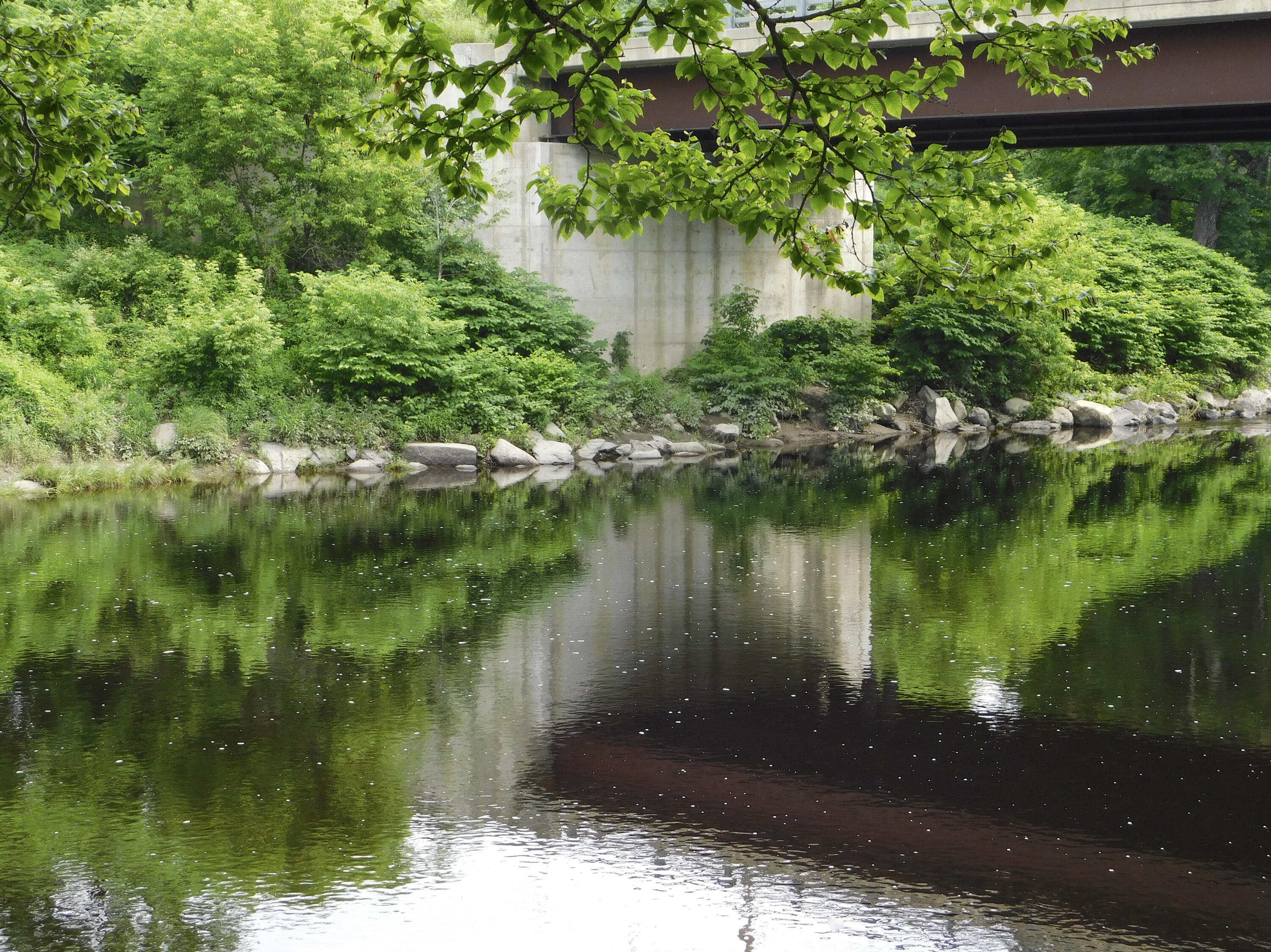 170 Main Street Sangerville, ME 04479 - Photo 21 of 97 14