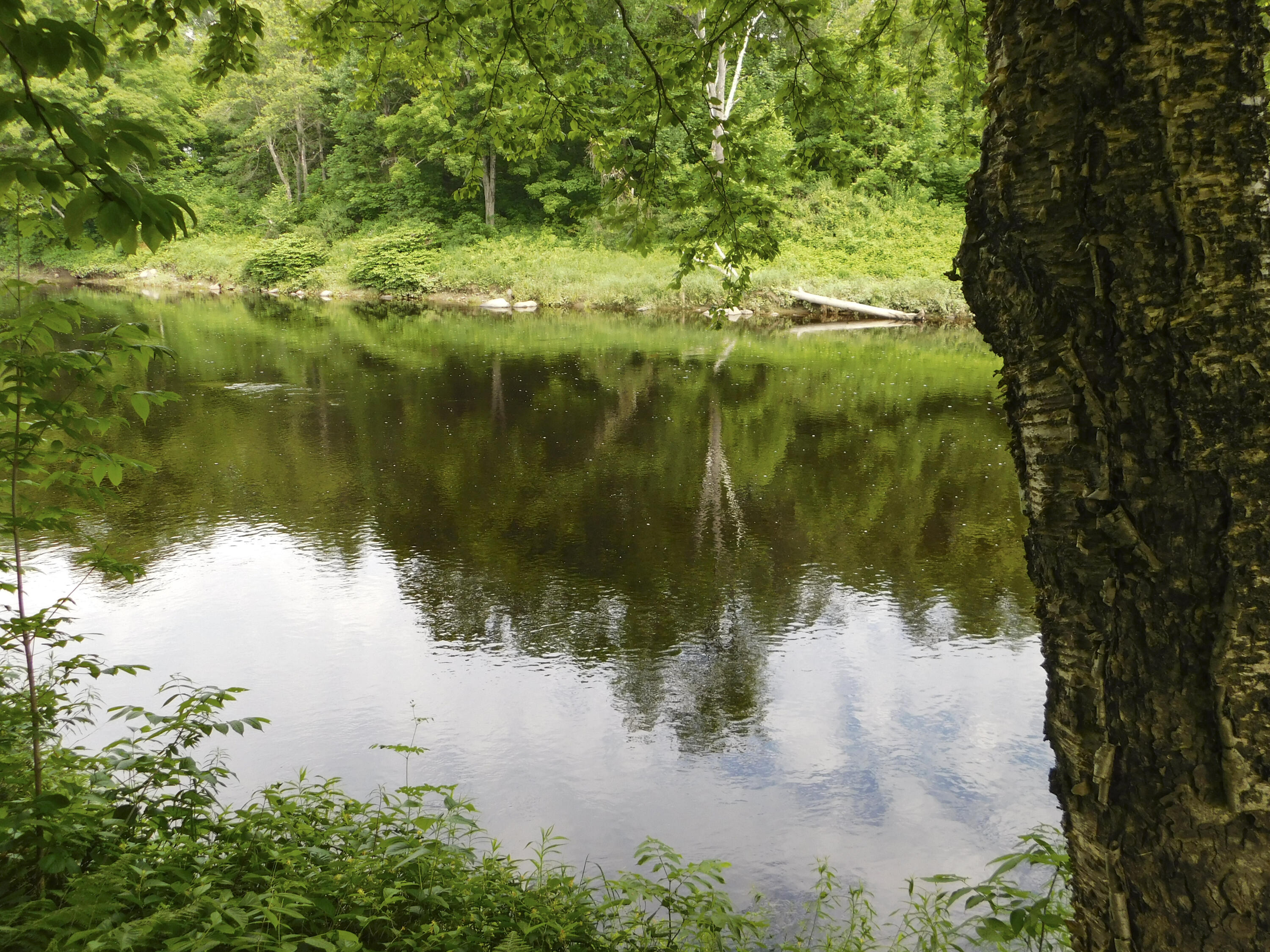 170 Main Street Sangerville, ME 04479 - Photo 22 of 97 16