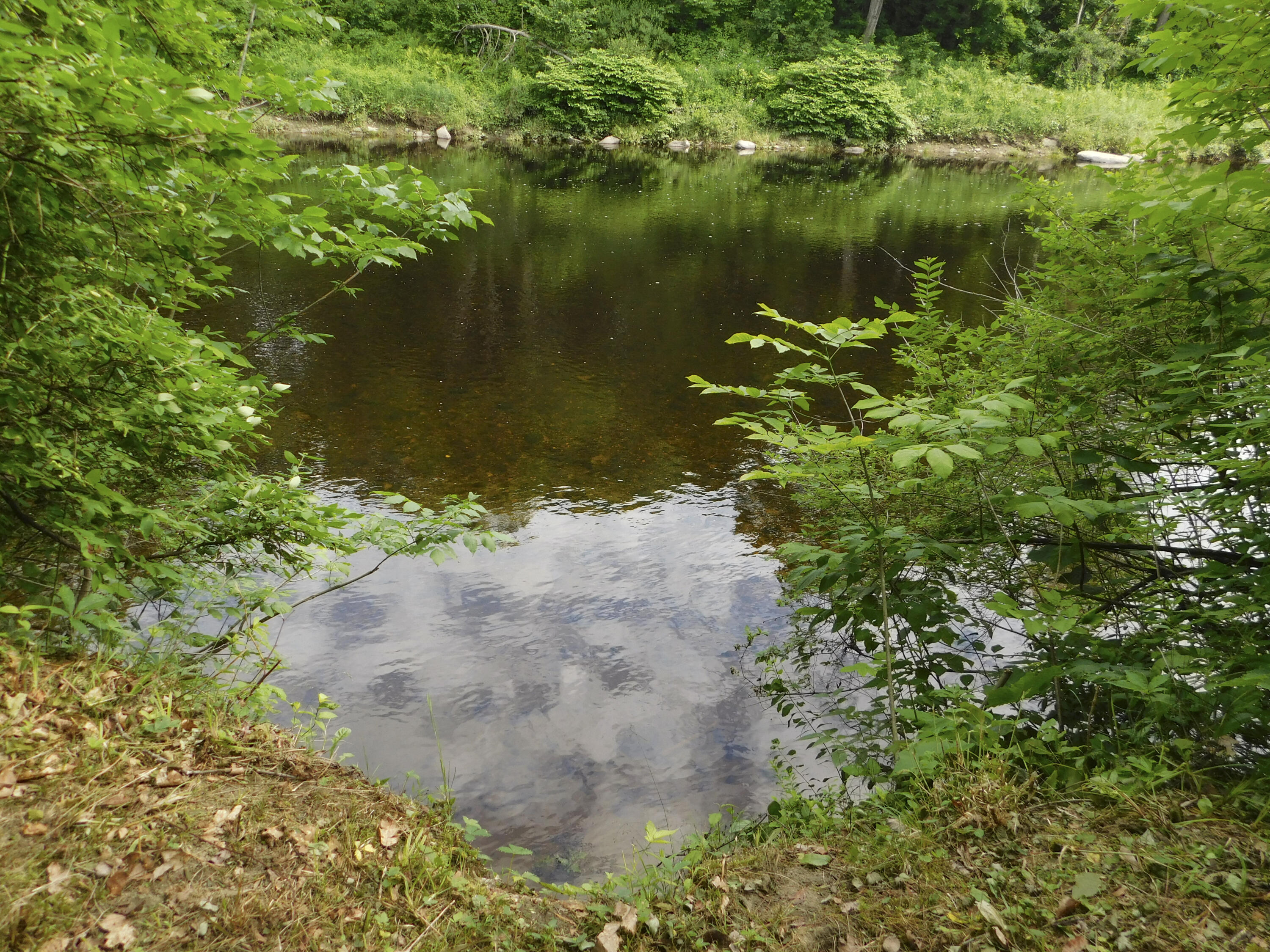 170 Main Street Sangerville, ME 04479 - Photo 23 of 97 24