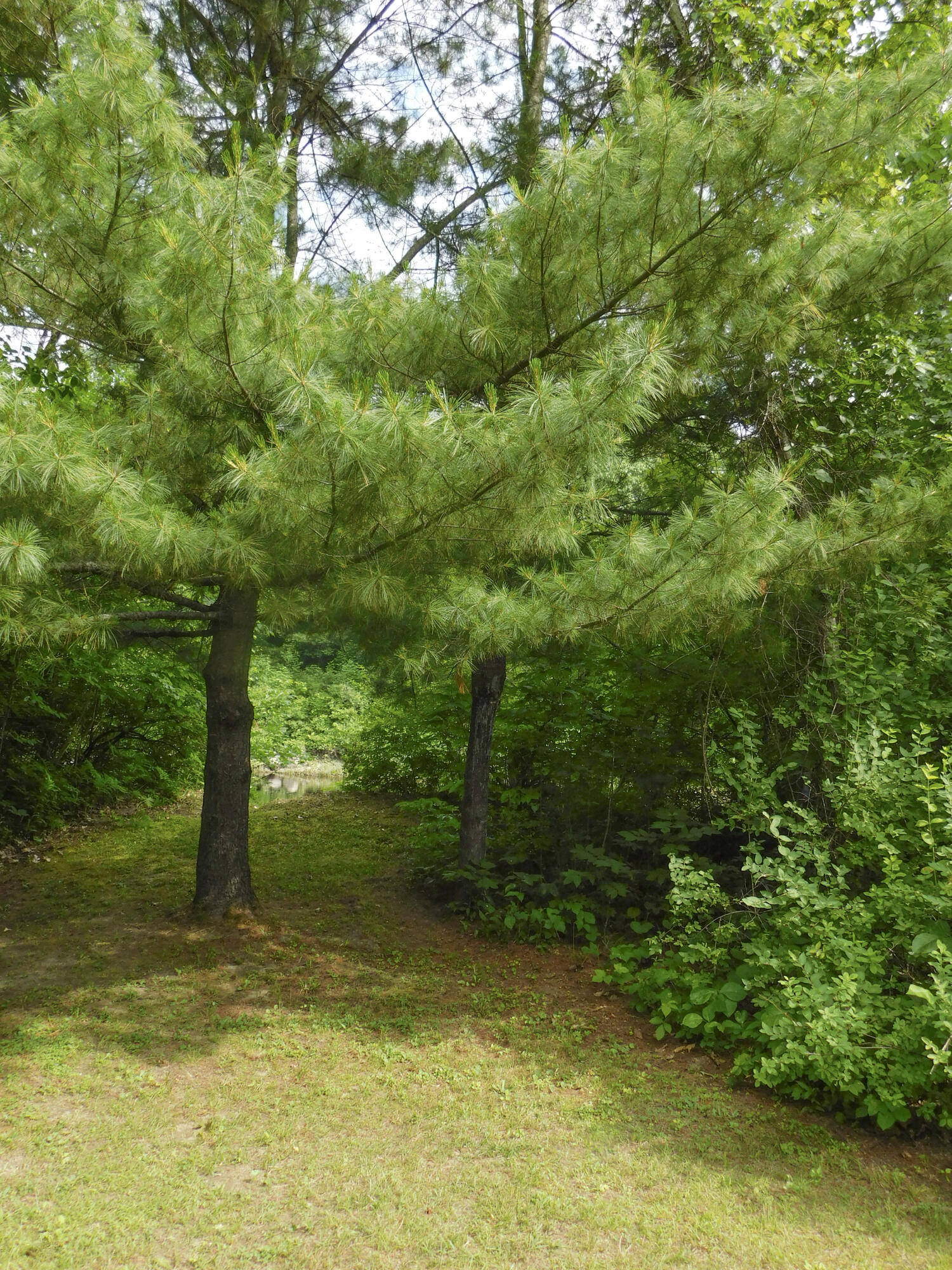 170 Main Street Sangerville, ME 04479 - Photo 26 of 97 22