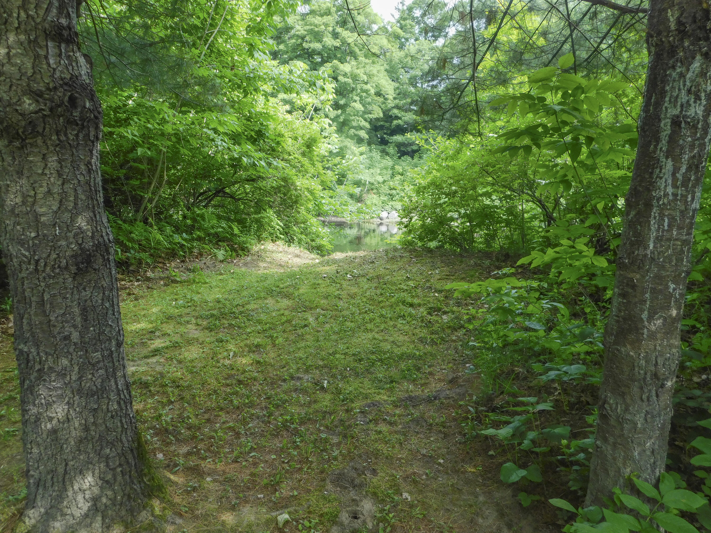 170 Main Street Sangerville, ME 04479 - Photo 27 of 97 23