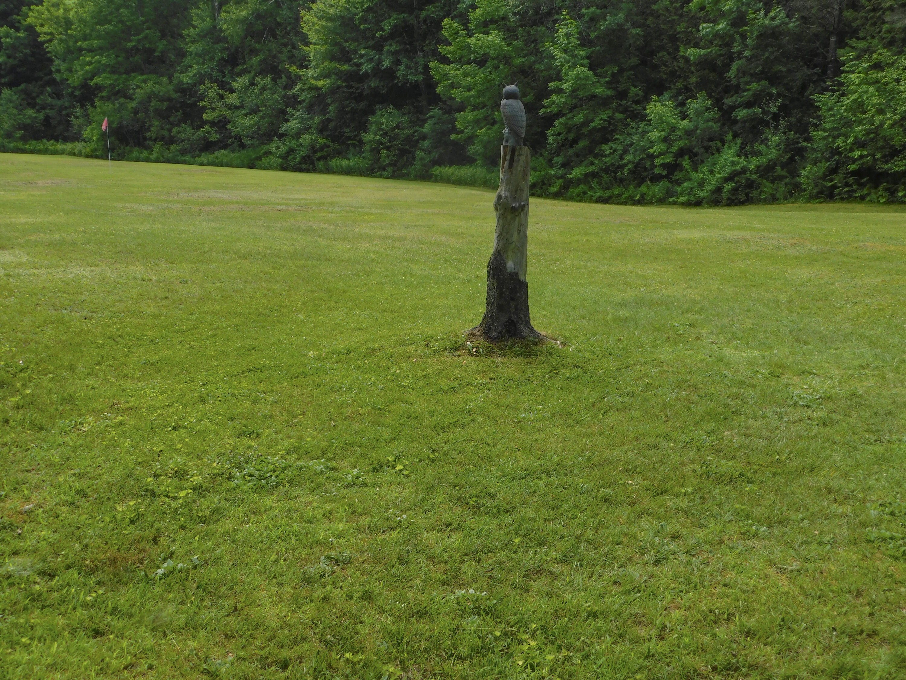 170 Main Street Sangerville, ME 04479 - Photo 87 of 97 29