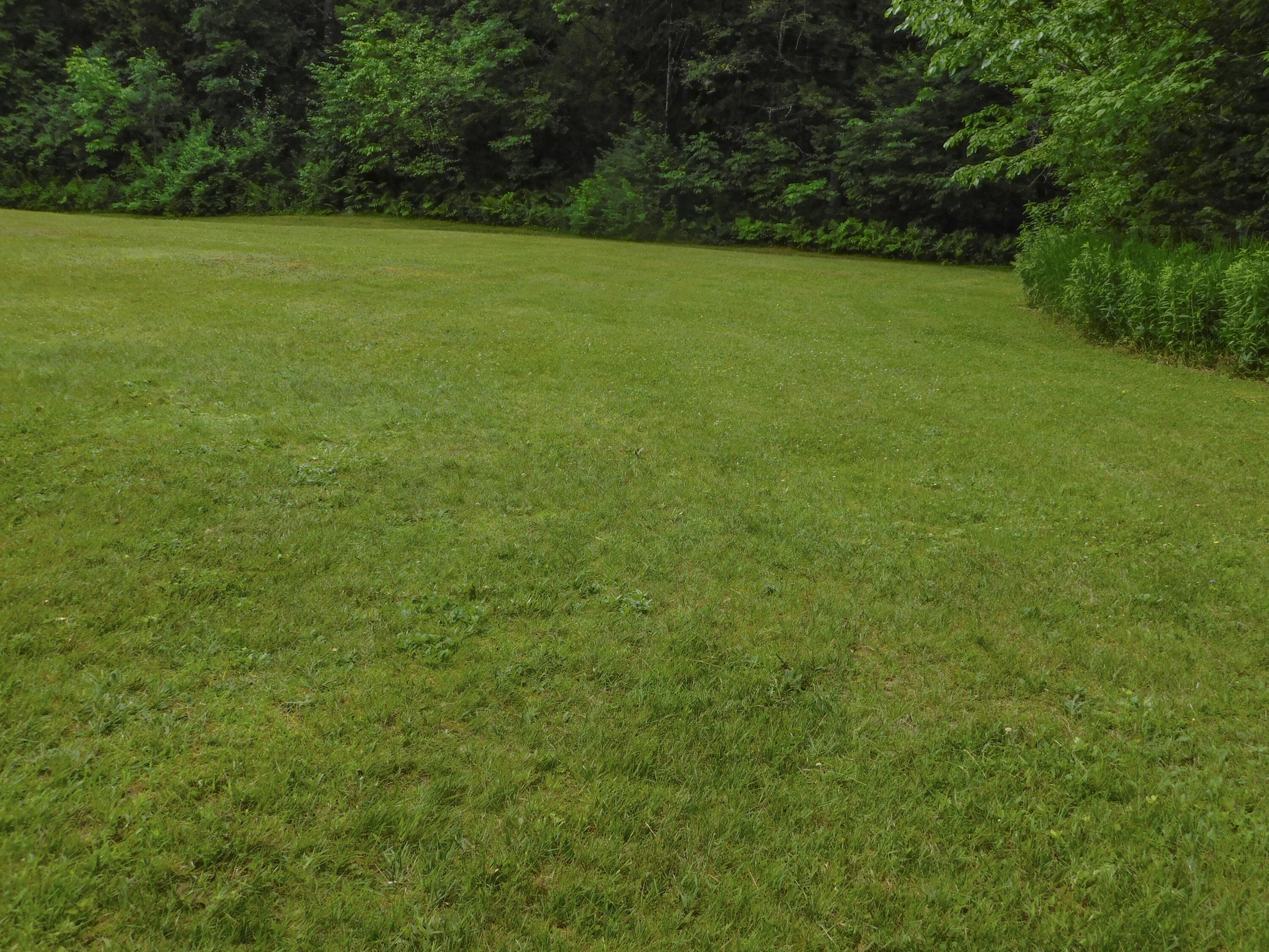 170 Main Street Sangerville, ME 04479 - Photo 88 of 97 30