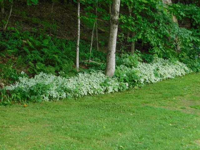 $262,000 | 170 Main Street, Sangerville, ME 04479