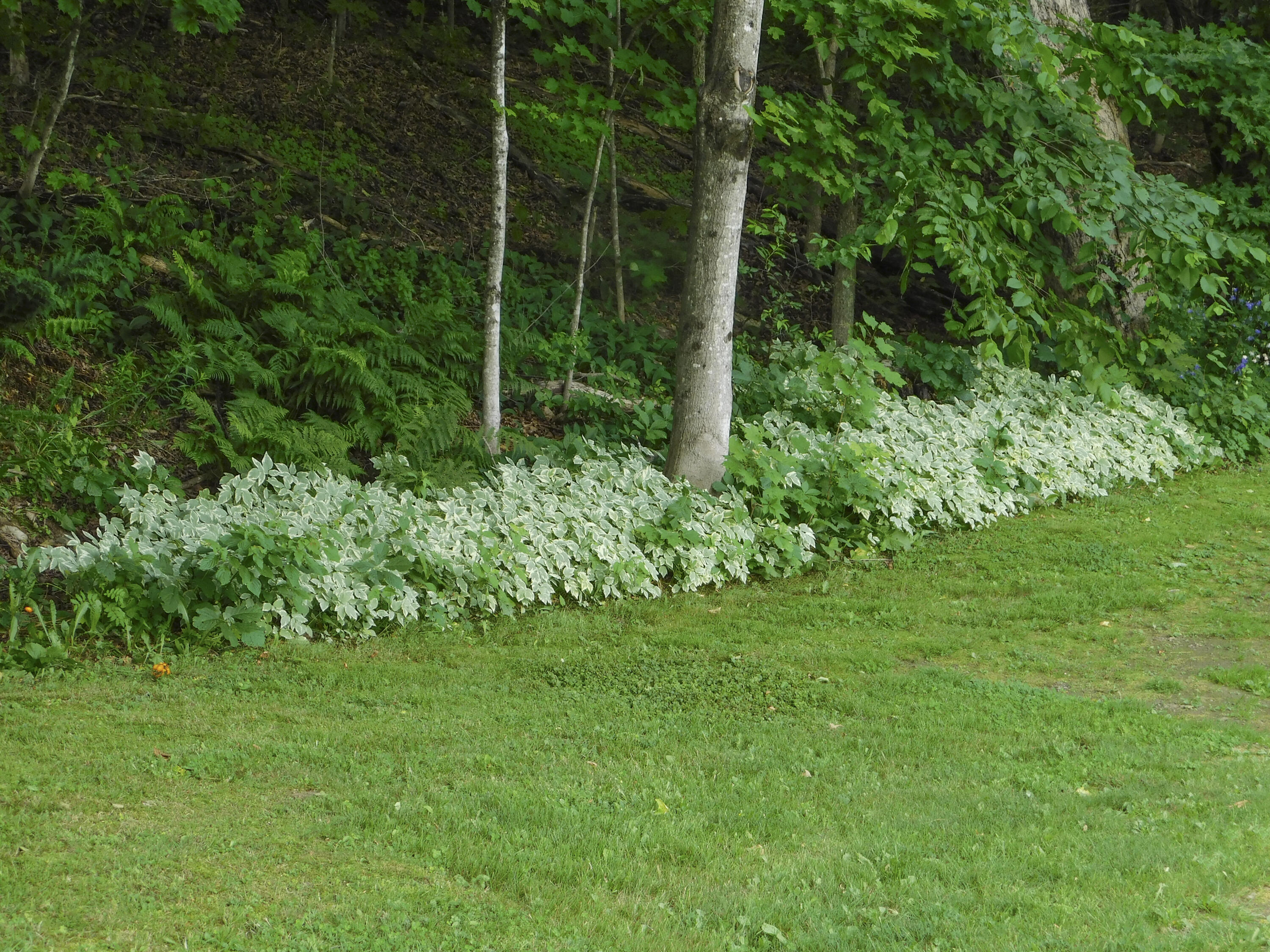 170 Main Street Sangerville, ME 04479 - Photo 90 of 97 5