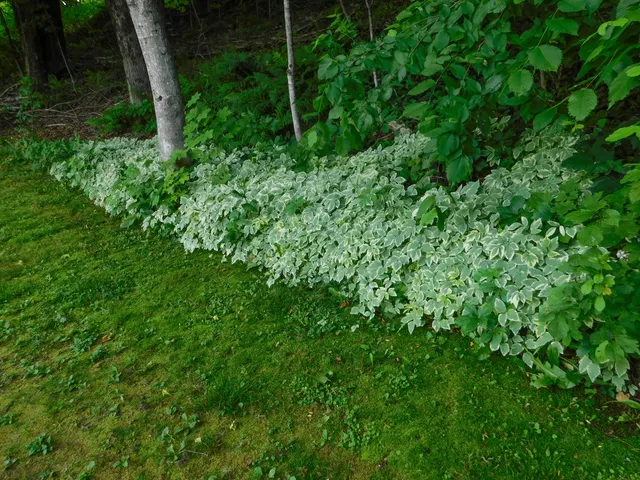 $262,000 | 170 Main Street, Sangerville, ME 04479