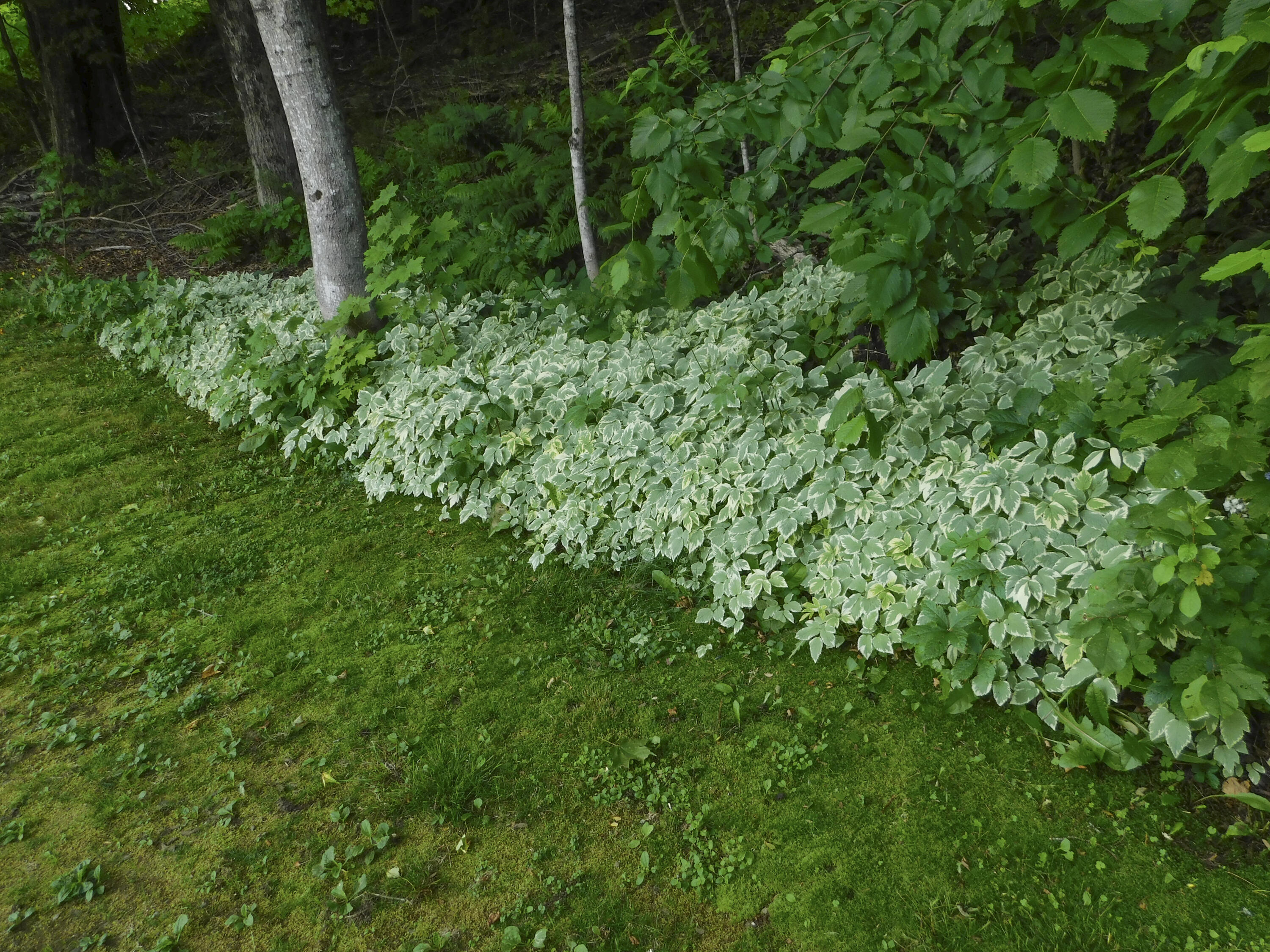 170 Main Street Sangerville, ME 04479 - Photo 91 of 97 6