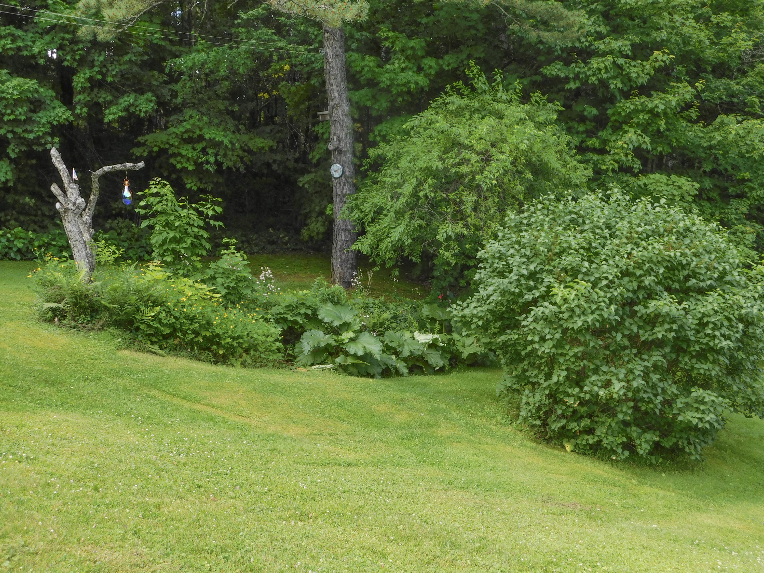 170 Main Street Sangerville, ME 04479 - Photo 93 of 97 38