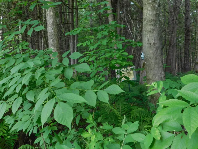 $262,000 | 170 Main Street, Sangerville, ME 04479