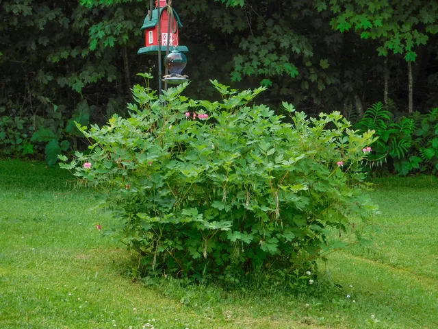 $262,000 | 170 Main Street, Sangerville, ME 04479