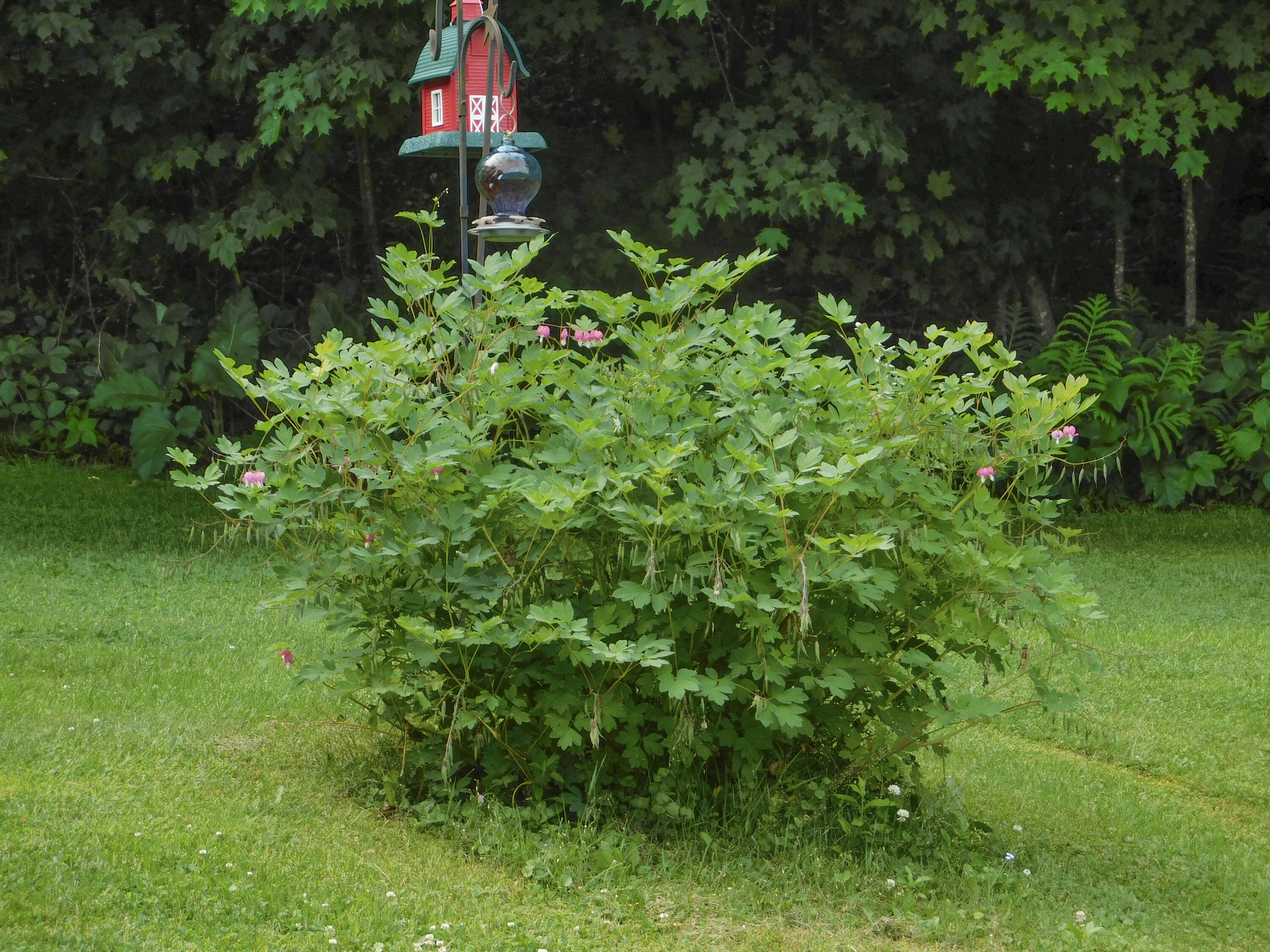 170 Main Street Sangerville, ME 04479 - Photo 95 of 97 39