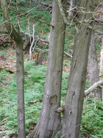 $262,000 | 170 Main Street, Sangerville, ME 04479