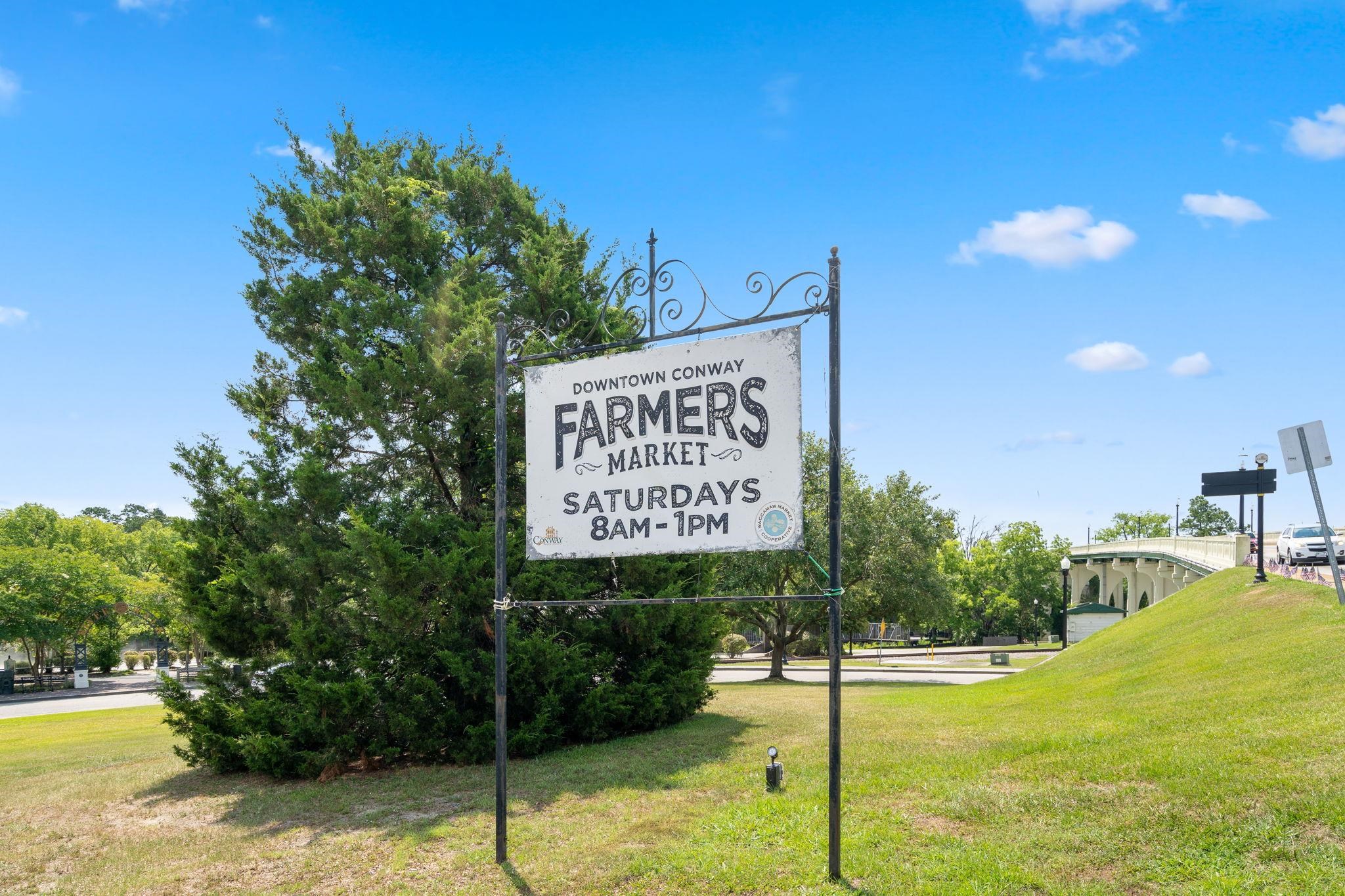 1127 Blueback Herring Way Conway, SC 29526 - Photo 50 of 56