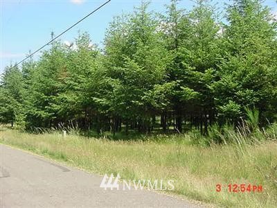 -xx Albany Place Southwest Rochester, WA 98579 - Photo 1 of 1