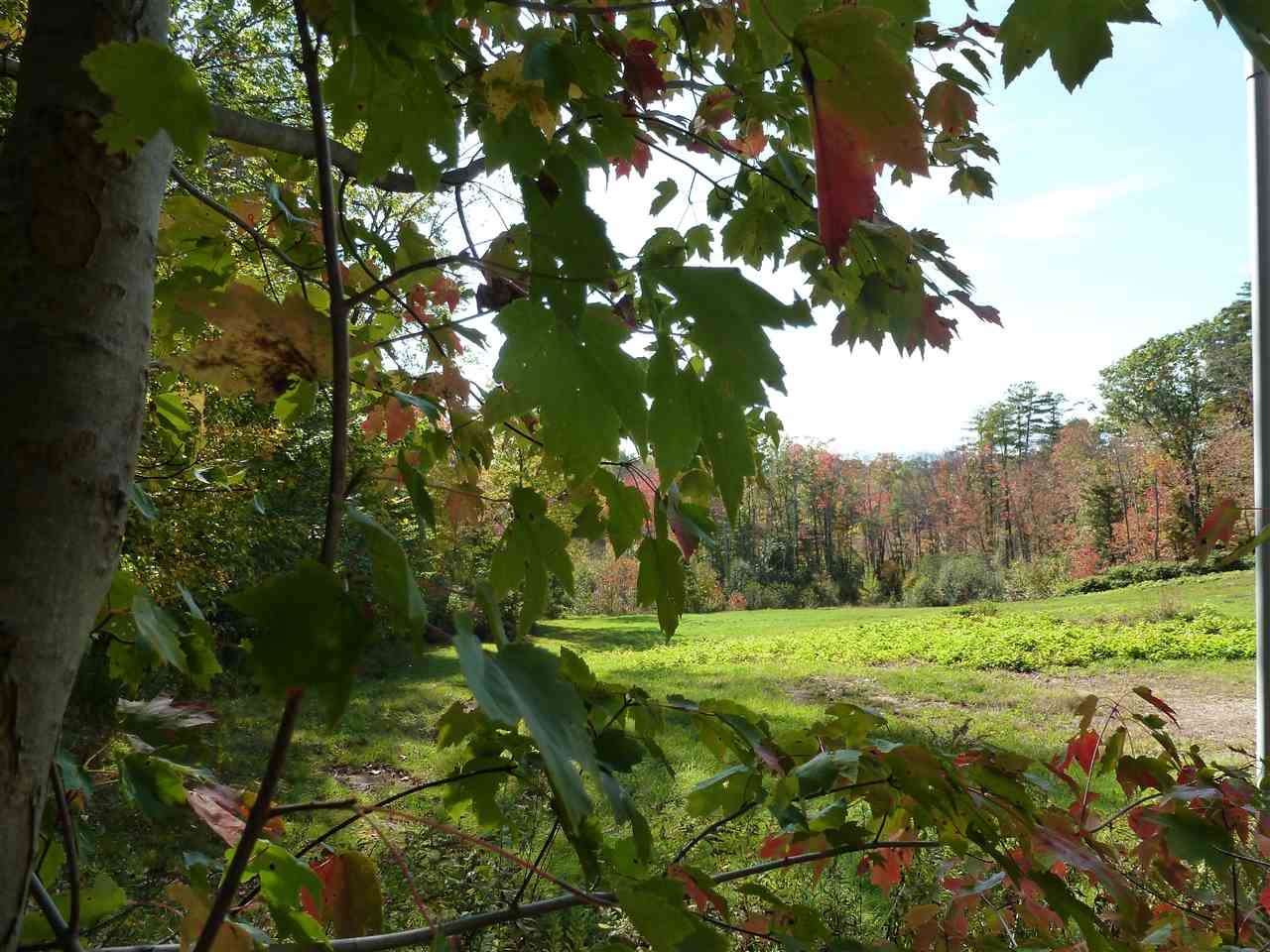 137 Cotton Valley Road Wolfeboro, NH 03894 - Photo 3 of 9