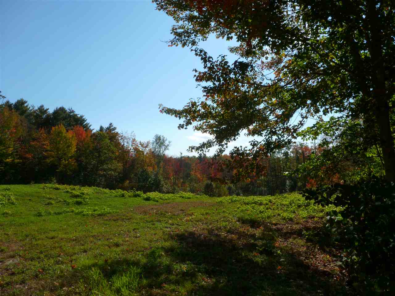 137 Cotton Valley Road Wolfeboro, NH 03894 - Photo 6 of 9