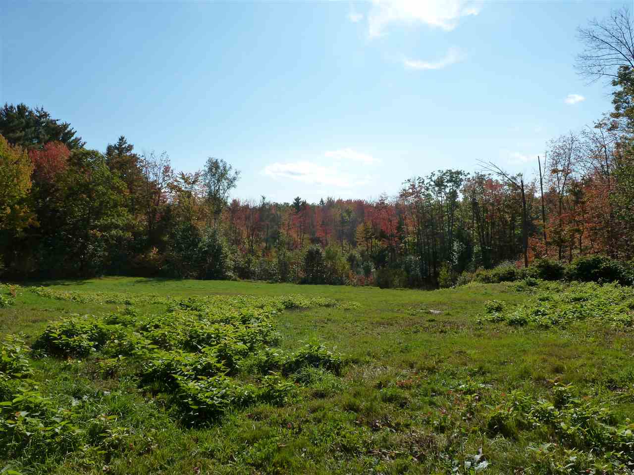 137 Cotton Valley Road Wolfeboro, NH 03894 - Photo 8 of 9