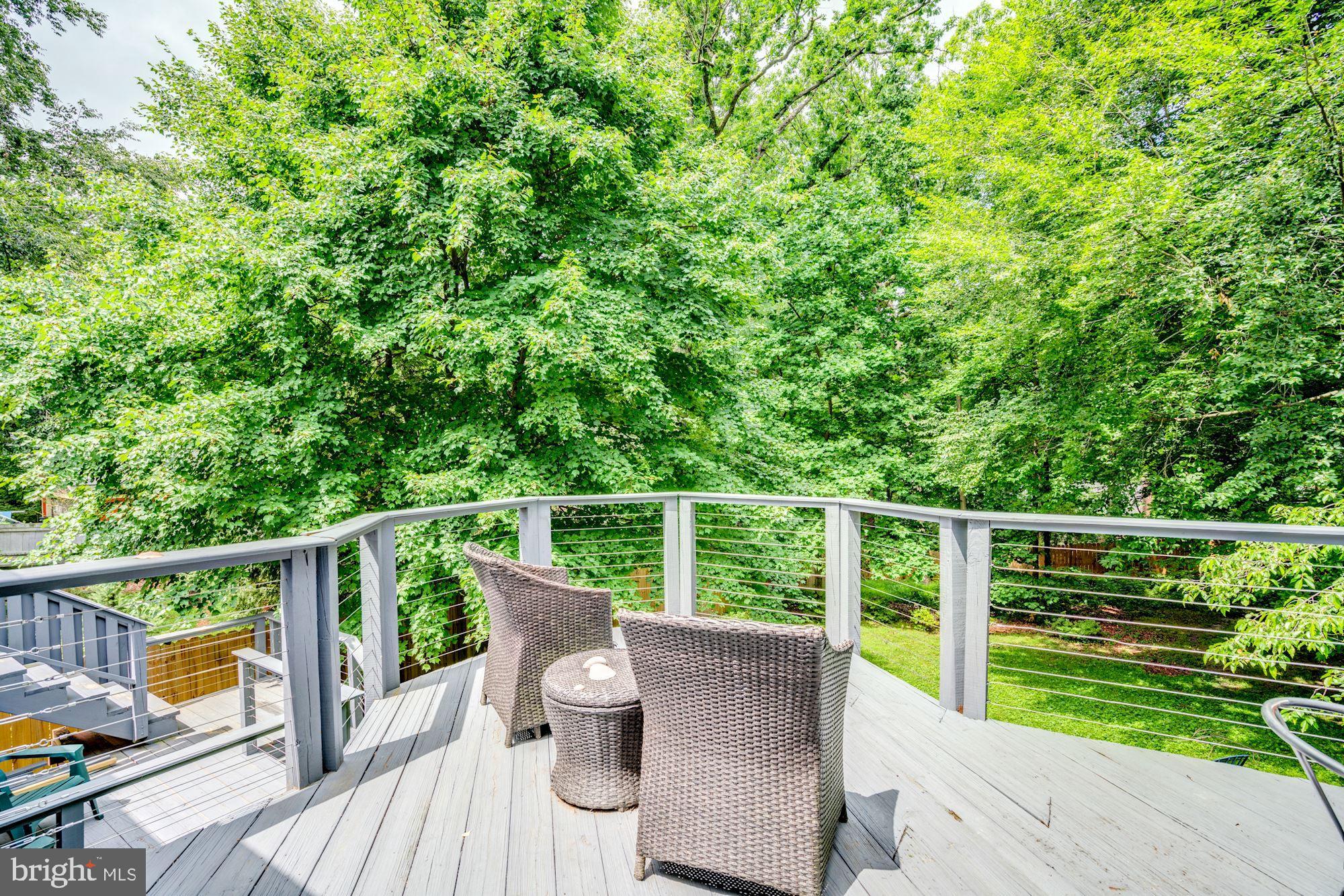 10420 Rodney Road Silver Spring, MD 20903 - Photo 29 of 32