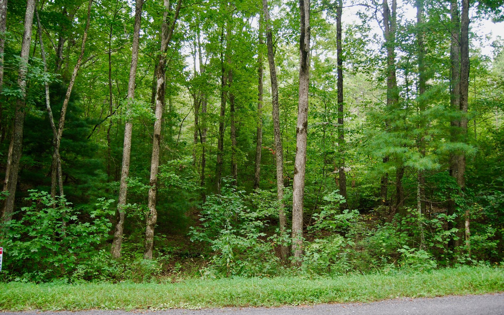 Tickanetley Road Ellijay, GA 30536 - Photo 1 of 1 Main View