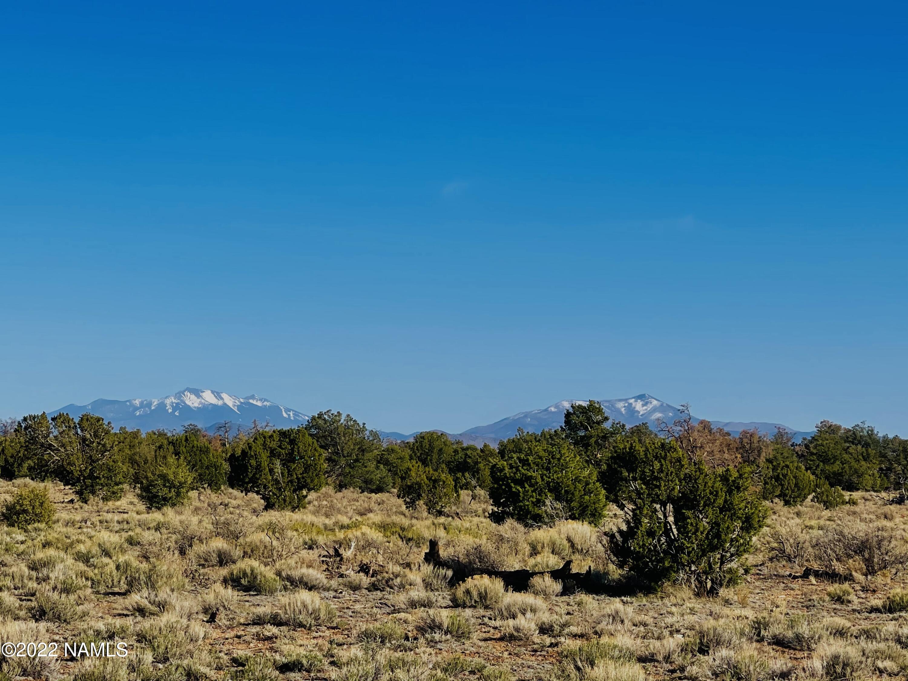 4117 Red Butte Road Williams, AZ 86046 - Photo 1 of 8 4117 Red Butte Rd
