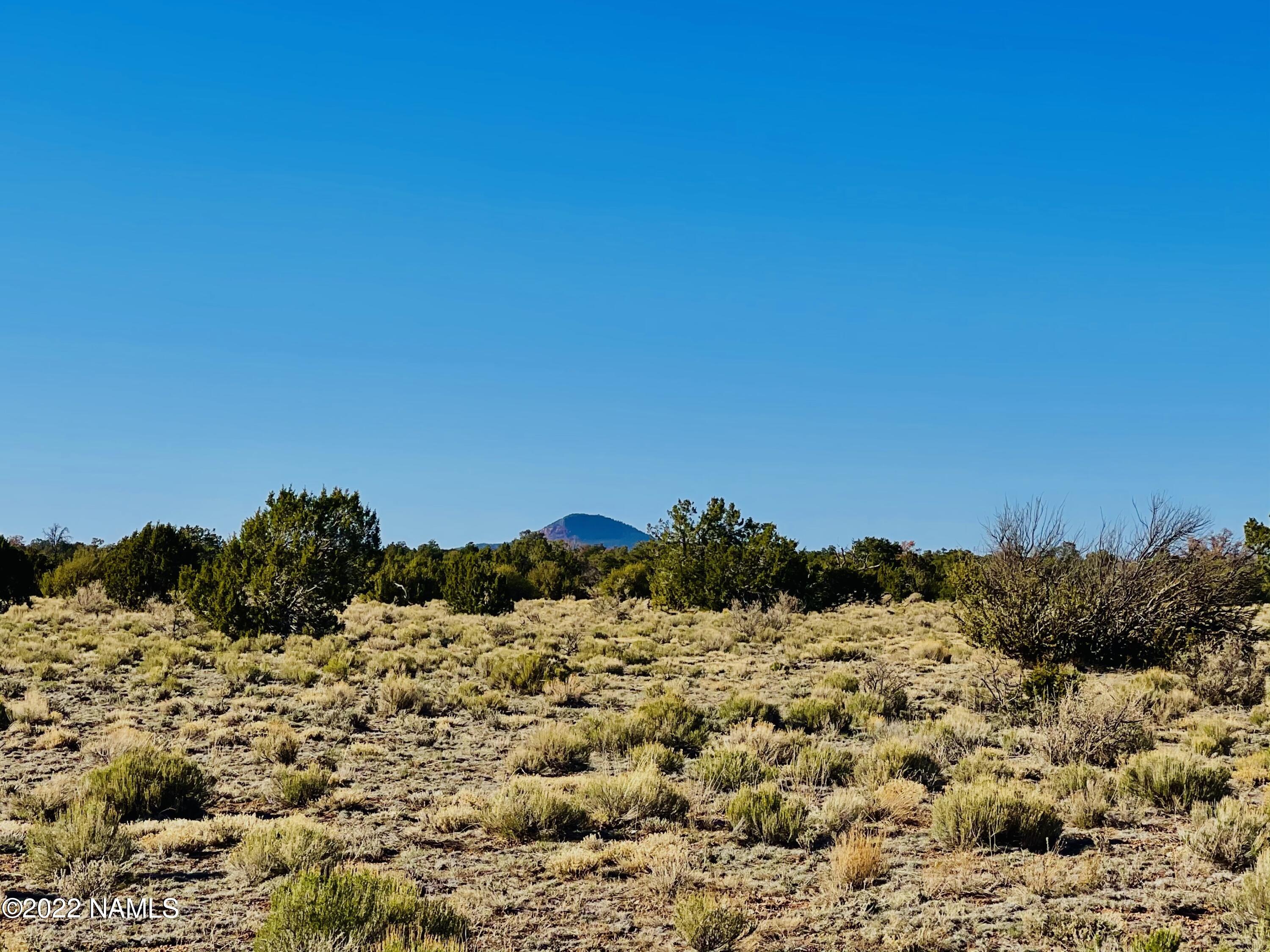 4117 Red Butte Road Williams, AZ 86046 - Photo 3 of 8 4117 Red Butte Rd Photo 2